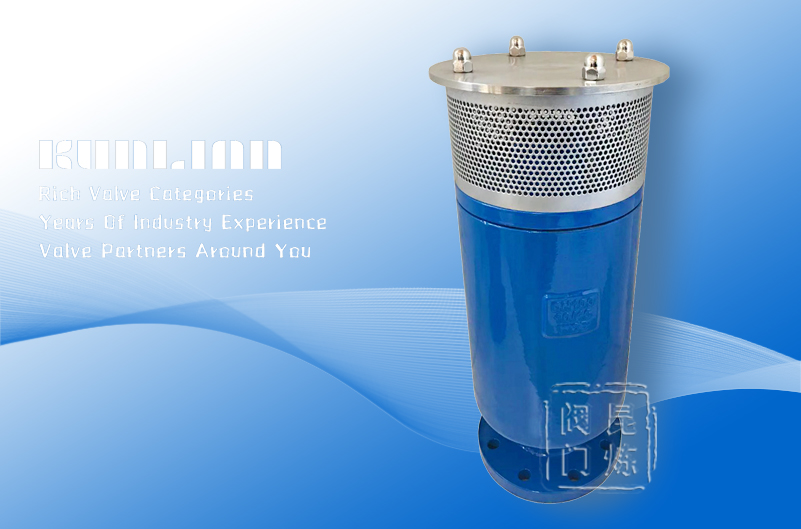 FOX防水錘型空氣閥 FOX防水錘型空氣閥