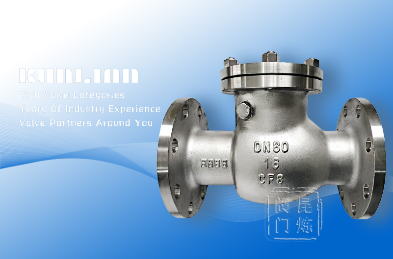 H44W/H國(guó)標(biāo)不銹鋼止回閥 H44W/H國(guó)標(biāo)不銹鋼止回閥