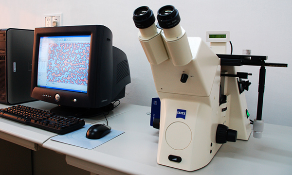 ���P���ʽֹ���y��ֹ�P�g- �Ϻ������y�T