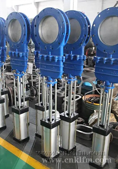 ���(d��ng)�l�y��(zh��)��������֪�R(sh��)���N���;